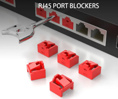 Picture of Network Port Blockers - 10 Blockers & Key